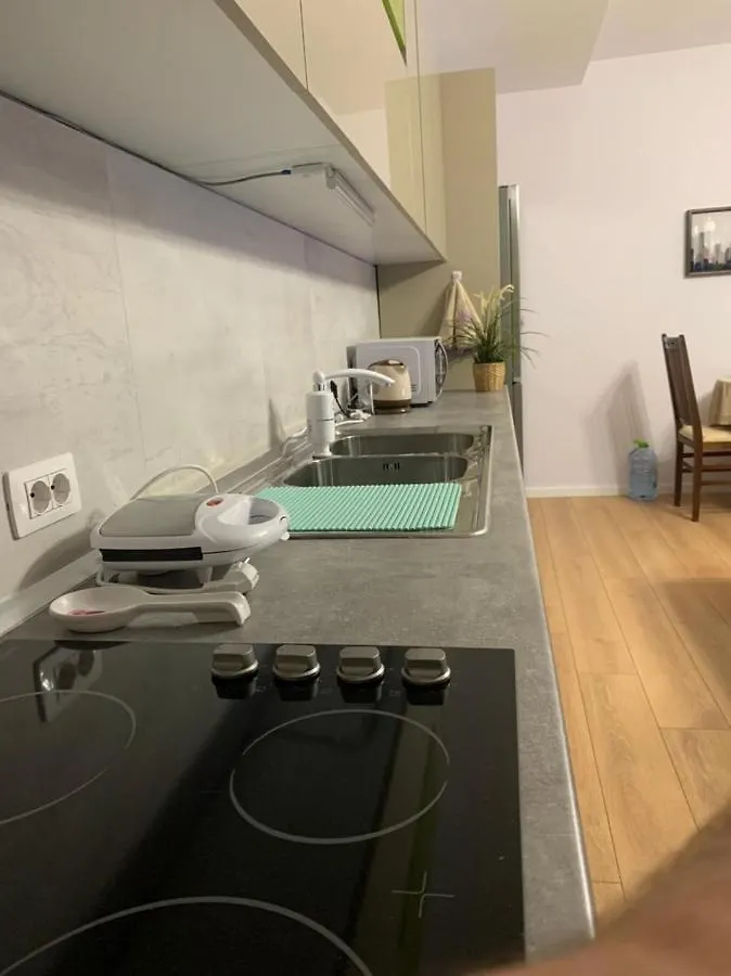 Comfort Apartment In Tirana Near To The Ministry Of Foreign Affairs