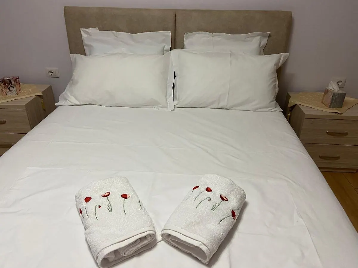 Comfort Apartment In Tirana Near To The Ministry Of Foreign Affairs Albania